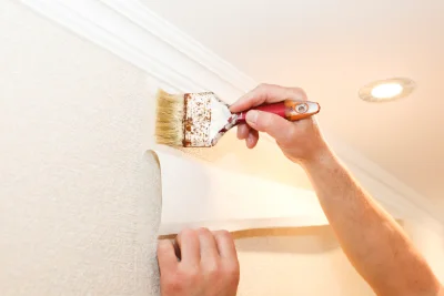 Pose de papier peint à Plavilla — revêtements muraux et toiles de verre
